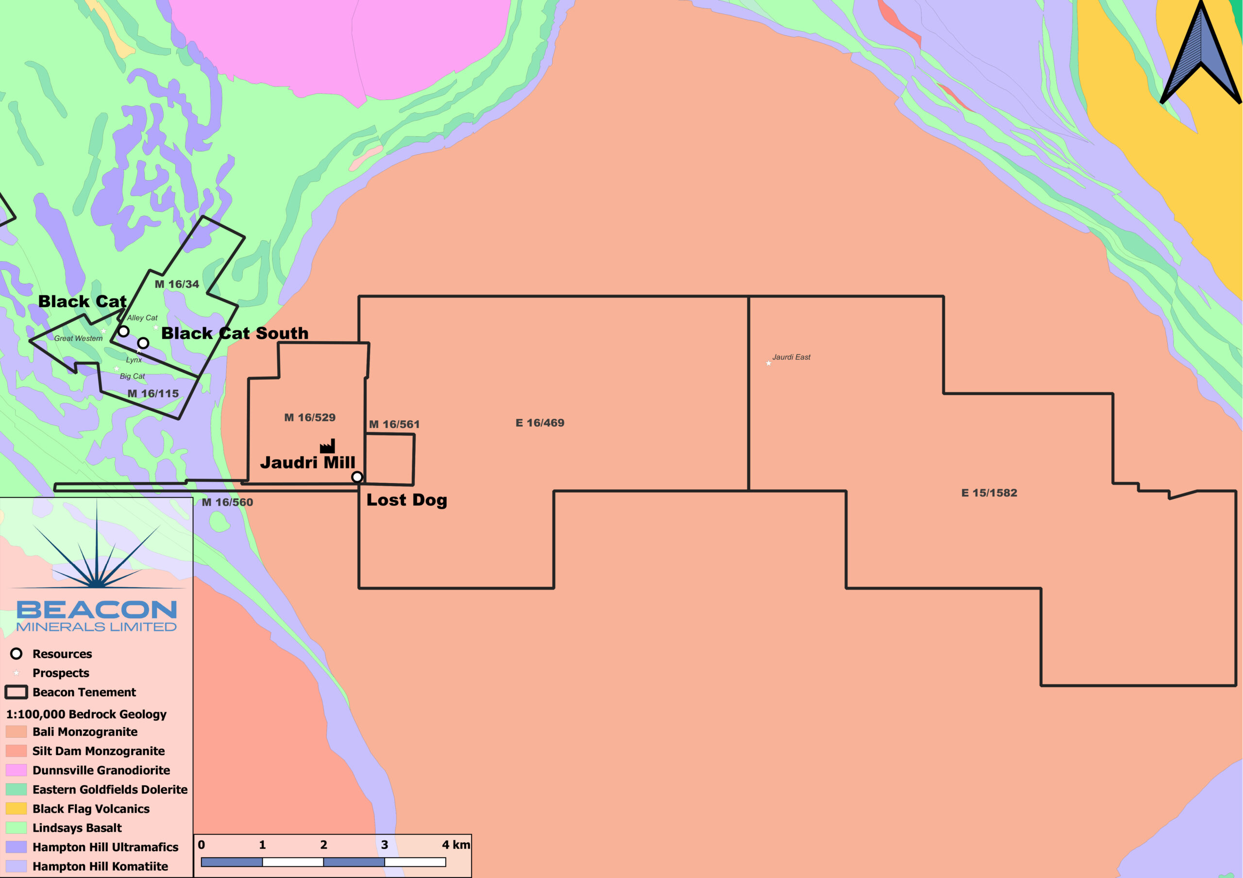 Geol Map Jaurdi Black Cat
